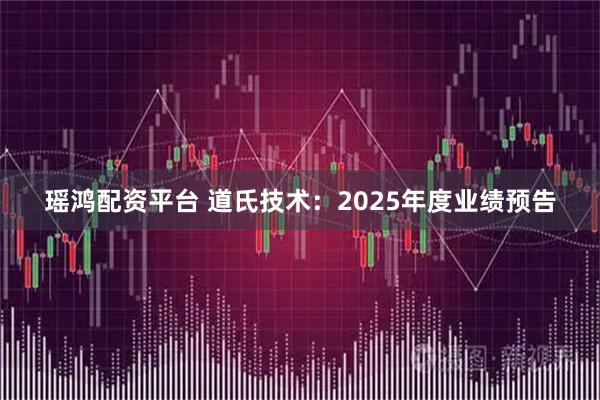 瑶鸿配资平台 道氏技术：2025年度业绩预告