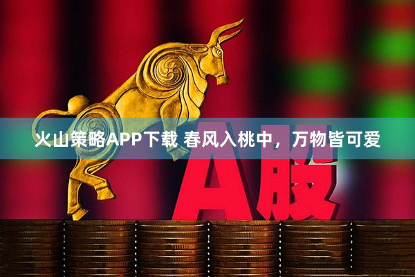火山策略APP下载 春风入桃中，万物皆可爱